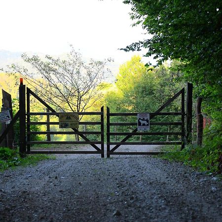 博德森特克Eko Pony Ranch Ogrizek公寓 外观 照片