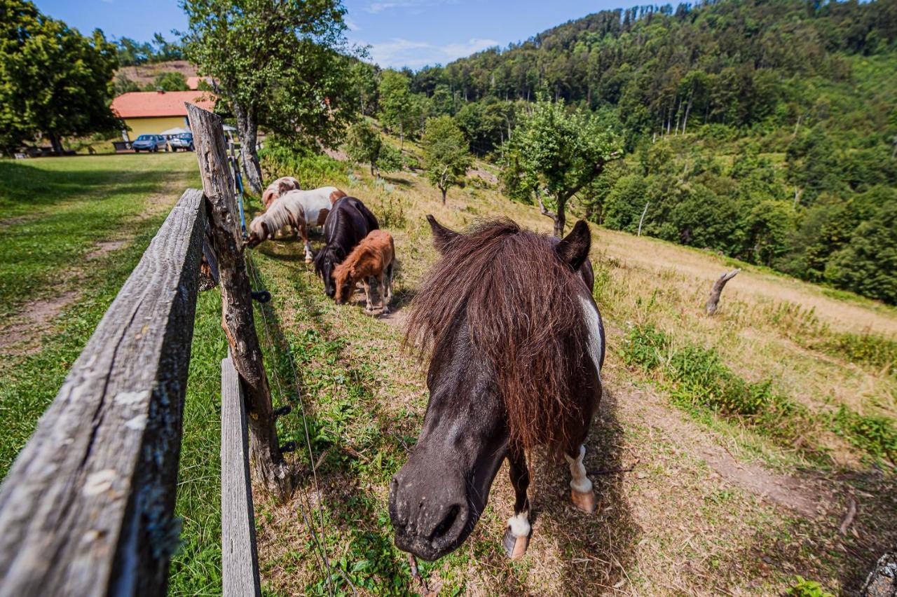 博德森特克Eko Pony Ranch Ogrizek公寓 外观 照片