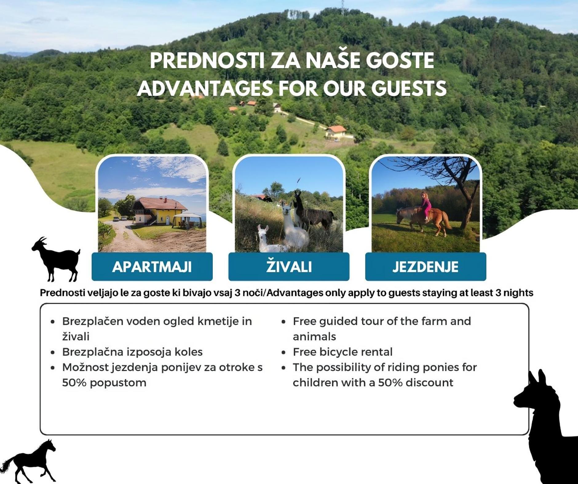 博德森特克Eko Pony Ranch Ogrizek公寓 外观 照片